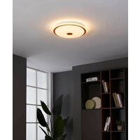 Светильник-тарелка Eglo Lanciano 1 900598 - Превью изображения №3 — Интернет-магазин Time-Shop