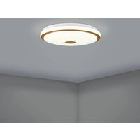 Светильник-тарелка Eglo Lanciano 1 900598 - Превью изображения №6 — Интернет-магазин Time-Shop