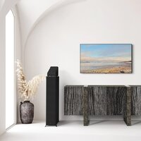 Внешний модуль объемного звука Klipsch RP-500SA II (черный) - Превью изображения №9 — Интернет-магазин Time-Shop