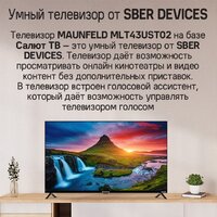 Телевизор MAUNFELD MLT43UST02 - Превью изображения №12 — Интернет-магазин Time-Shop