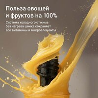 Соковыжималка Redmond (Редмонд) J1420 - Превью изображения №10 — Интернет-магазин Time-Shop
