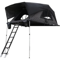 Wild Land Wild Cruiser 250 Pro 900007-0004-0001