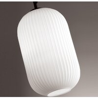 Подвесная люстра Odeon Light Roofi 4752/1 - Превью изображения №5 — Интернет-магазин Time-Shop