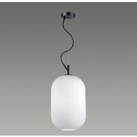 Подвесная люстра Odeon Light Roofi 4752/1 - Превью изображения №3 — Интернет-магазин Time-Shop