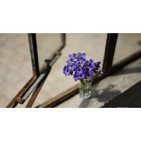 Объектив Sony FE 50mm F1.8 [SEL50F18F] - Превью изображения №4 — Интернет-магазин Time-Shop