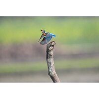 Беззеркальный фотоаппарат Nikon Z6 III Kit 24-70mm f/4 S - Превью изображения №25 — Интернет-магазин Time-Shop