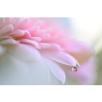 Беззеркальный фотоаппарат Nikon Z6 III Kit 24-70mm f/4 S - Превью изображения №27 — Интернет-магазин Time-Shop