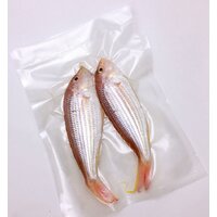 Вакуумный упаковщик CASO GourmetVAC 180 - Превью изображения №14 — Интернет-магазин Time-Shop