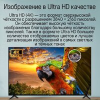 Телевизор MAUNFELD MLT55UST02 - Превью изображения №15 — Интернет-магазин Time-Shop