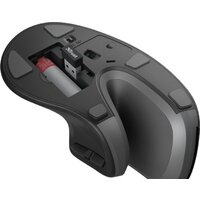 Вертикальная мышь Trust Verro Ergonomic Wireless Mouse - Превью изображения №8 — Интернет-магазин Time-Shop