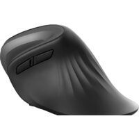 Вертикальная мышь Trust Verro Ergonomic Wireless Mouse - Превью изображения №7 — Интернет-магазин Time-Shop