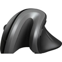 Вертикальная мышь Trust Verro Ergonomic Wireless Mouse - Превью изображения №2 — Интернет-магазин Time-Shop