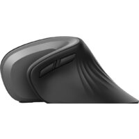 Вертикальная мышь Trust Verro Ergonomic Wireless Mouse - Превью изображения №4 — Интернет-магазин Time-Shop