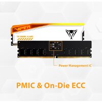 Оперативная память Patriot Viper Elite 5 RGB TUF Gaming Alliance 2x24ГБ DDR5 6600 МГц PVER548G66C34KT - Превью изображения №11 — Интернет-магазин Time-Shop