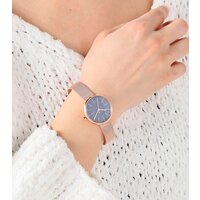 Наручные часы Skagen SKW2593 - Превью изображения №9 — Интернет-магазин Time-Shop