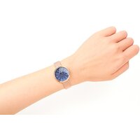 Наручные часы Skagen SKW2593 - Превью изображения №7 — Интернет-магазин Time-Shop