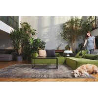 Пылесос Hoover TXL80PET 011 - Превью изображения №3 — Интернет-магазин Time-Shop