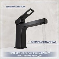 Умывальник Lauter 21478 + Cascade 21СК655BS с сифоном 21635B (черный матовый) - Превью изображения №5 — Интернет-магазин Time-Shop