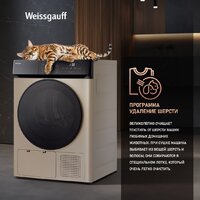 Сушильная машина Weissgauff WD 6010 Heat Pump Champagne - Превью изображения №20 — Интернет-магазин Time-Shop
