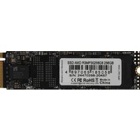 AMD Radeon R3 256GB R3MP30256G8