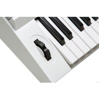 Синтезатор Kurzweil KP110 (белый) - Превью изображения №9 — Интернет-магазин Time-Shop