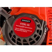 Мотокультиватор бензиновый Gigant GTSL-01 - Превью изображения №16 — Интернет-магазин Time-Shop