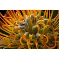 Беззеркальный фотоаппарат Fujifilm X-T50 Kit 16-50mm (серый) - Превью изображения №26 — Интернет-магазин Time-Shop