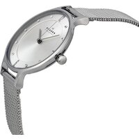Наручные часы Skagen SKW2149 - Превью изображения №2 — Интернет-магазин Time-Shop
