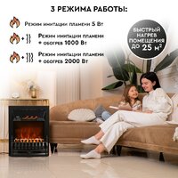 Электрокамин Planta PFP-FS400 (черный) - Превью изображения №8 — Интернет-магазин Time-Shop