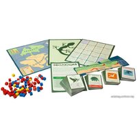 Настольная игра Правильные игры Эволюция. Подарочное издание - Превью изображения №6 — Интернет-магазин Time-Shop