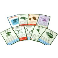 Настольная игра Правильные игры Эволюция. Подарочное издание - Превью изображения №11 — Интернет-магазин Time-Shop