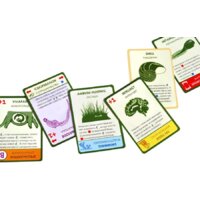 Настольная игра Правильные игры Эволюция. Подарочное издание - Превью изображения №14 — Интернет-магазин Time-Shop