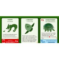 Настольная игра Правильные игры Эволюция. Подарочное издание - Превью изображения №9 — Интернет-магазин Time-Shop