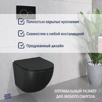 Унитаз подвесной Lauter Sulzdorf (черный с микролифтом) - Превью изображения №5 — Интернет-магазин Time-Shop
