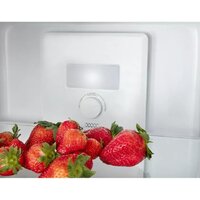 Холодильник MPM 254-FF-52/E - Превью изображения №7 — Интернет-магазин Time-Shop