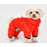 Комбинезон для животных Puppia Jumpesuit B PAPD-JM1673-RD-M (красный) - Превью изображения №4 — Интернет-магазин Time-Shop