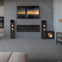 Проводной сабвуфер Klipsch R-121SW - Превью изображения №6 — Интернет-магазин Time-Shop