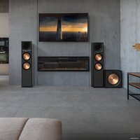 Проводной сабвуфер Klipsch R-121SW - Превью изображения №4 — Интернет-магазин Time-Shop