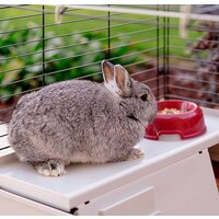 Клетка Ferplast Krolik 140 Plus 57072570 - Превью изображения №8 — Интернет-магазин Time-Shop