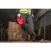 Ручная воздуходувка Milwaukee M18 FUEL M18F2BL-0 4933479987 (без АКБ) - Превью изображения №12 — Интернет-магазин Time-Shop