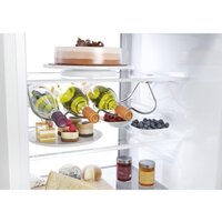 Холодильник Haier HBW7519CF - Превью изображения №5 — Интернет-магазин Time-Shop