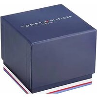 Наручные часы Tommy Hilfiger Blaze 1792028 - Превью изображения №2 — Интернет-магазин Time-Shop
