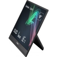Портативный монитор ViewSonic ColorPro VP16-OLED - Превью изображения №8 — Интернет-магазин Time-Shop