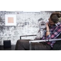 Беспроводной сабвуфер Bose Bass Module 500 - Превью изображения №6 — Интернет-магазин Time-Shop