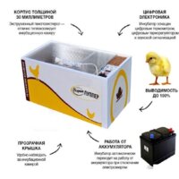 Инкубатор для животных Норма Луппер slkin47a - Превью изображения №5 — Интернет-магазин Time-Shop