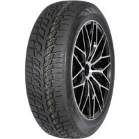 Autogreen Snow Chaser 2 AW08 205/50R17 93H