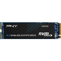 PNY CS2230 1TB M280CS2230-1TB-RB