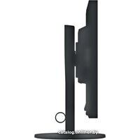 Монитор EIZO FlexScan EV2430-BK - Превью изображения №7 — Интернет-магазин Time-Shop