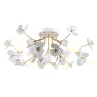 F-Promo Lassie 4081-7P