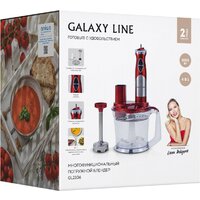 Погружной блендер Galaxy Line GL2106 - Превью изображения №9 — Интернет-магазин Time-Shop